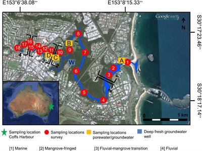 Non-conservative Behavior of Dissolved Organic Matter and Trace Metals (Mn, Fe, Ba) Driven by Porewater Exchange in a Subtropical Mangrove-Estuary